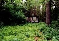 The old cabin looking back from the lake before the start of construction